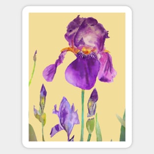 Iris Watercolor Painting - Elegant Purple on Lemon Yellowa Sticker